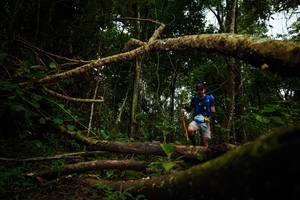 BIB: 
                            <button type="button" onclick="openModal(25036289)" class="btn btn-primary btn-sm float-right btn-popup" data-toggle="modal" data-target=".modal-high-quality">
                        <i class="fas fa-shopping-cart"></i> Add to Cart
                    </button>
                                            <button type="button" onclick="isThisMe(25036289, true)" class="btn btn-success btn-sm float-right btn-popup btn-isme hidden" data-toggle="tooltip" data-placement="bottom" title="นี่คือรูปของคุณใช่ไหม คลิกที่นี่เพื่อเอาเข้าอัลบั้ม">
                        <i class="fas fa-plus"></i> Add to album
                    </button>
                    <button type="button" onclick="isThisMe(25036289, false)" class="btn btn-warning btn-sm float-right btn-popup btn-isnotme hidden">
                        <i class="fas fa-ban"></i> Remove from album
                    </button>