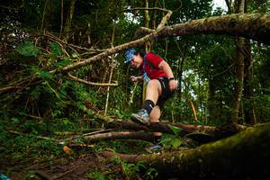 BIB: 
                            <button type="button" onclick="openModal(25026350)" class="btn btn-primary btn-sm float-right btn-popup" data-toggle="modal" data-target=".modal-high-quality">
                        <i class="fas fa-shopping-cart"></i> Add to Cart
                    </button>
                                            <button type="button" onclick="isThisMe(25026350, true)" class="btn btn-success btn-sm float-right btn-popup btn-isme hidden" data-toggle="tooltip" data-placement="bottom" title="นี่คือรูปของคุณใช่ไหม คลิกที่นี่เพื่อเอาเข้าอัลบั้ม">
                        <i class="fas fa-plus"></i> Add to album
                    </button>
                    <button type="button" onclick="isThisMe(25026350, false)" class="btn btn-warning btn-sm float-right btn-popup btn-isnotme hidden">
                        <i class="fas fa-ban"></i> Remove from album
                    </button>