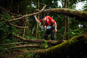 BIB: 238
                            <button type="button" onclick="openModal(25028642)" class="btn btn-primary btn-sm float-right btn-popup" data-toggle="modal" data-target=".modal-high-quality">
                        <i class="fas fa-shopping-cart"></i> Add to Cart
                    </button>
                                            <button type="button" onclick="isThisMe(25028642, true)" class="btn btn-success btn-sm float-right btn-popup btn-isme hidden" data-toggle="tooltip" data-placement="bottom" title="นี่คือรูปของคุณใช่ไหม คลิกที่นี่เพื่อเอาเข้าอัลบั้ม">
                        <i class="fas fa-plus"></i> Add to album
                    </button>
                    <button type="button" onclick="isThisMe(25028642, false)" class="btn btn-warning btn-sm float-right btn-popup btn-isnotme hidden">
                        <i class="fas fa-ban"></i> Remove from album
                    </button>