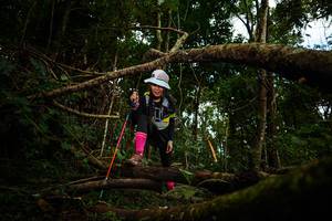 BIB: 
                            <button type="button" onclick="openModal(25026933)" class="btn btn-primary btn-sm float-right btn-popup" data-toggle="modal" data-target=".modal-high-quality">
                        <i class="fas fa-shopping-cart"></i> Add to Cart
                    </button>
                                            <button type="button" onclick="isThisMe(25026933, true)" class="btn btn-success btn-sm float-right btn-popup btn-isme hidden" data-toggle="tooltip" data-placement="bottom" title="นี่คือรูปของคุณใช่ไหม คลิกที่นี่เพื่อเอาเข้าอัลบั้ม">
                        <i class="fas fa-plus"></i> Add to album
                    </button>
                    <button type="button" onclick="isThisMe(25026933, false)" class="btn btn-warning btn-sm float-right btn-popup btn-isnotme hidden">
                        <i class="fas fa-ban"></i> Remove from album
                    </button>