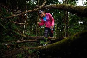 BIB: 
                            <button type="button" onclick="openModal(25026486)" class="btn btn-primary btn-sm float-right btn-popup" data-toggle="modal" data-target=".modal-high-quality">
                        <i class="fas fa-shopping-cart"></i> Add to Cart
                    </button>
                                            <button type="button" onclick="isThisMe(25026486, true)" class="btn btn-success btn-sm float-right btn-popup btn-isme hidden" data-toggle="tooltip" data-placement="bottom" title="นี่คือรูปของคุณใช่ไหม คลิกที่นี่เพื่อเอาเข้าอัลบั้ม">
                        <i class="fas fa-plus"></i> Add to album
                    </button>
                    <button type="button" onclick="isThisMe(25026486, false)" class="btn btn-warning btn-sm float-right btn-popup btn-isnotme hidden">
                        <i class="fas fa-ban"></i> Remove from album
                    </button>