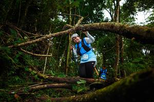 BIB: 
                            <button type="button" onclick="openModal(25025597)" class="btn btn-primary btn-sm float-right btn-popup" data-toggle="modal" data-target=".modal-high-quality">
                        <i class="fas fa-shopping-cart"></i> Add to Cart
                    </button>
                                            <button type="button" onclick="isThisMe(25025597, true)" class="btn btn-success btn-sm float-right btn-popup btn-isme hidden" data-toggle="tooltip" data-placement="bottom" title="นี่คือรูปของคุณใช่ไหม คลิกที่นี่เพื่อเอาเข้าอัลบั้ม">
                        <i class="fas fa-plus"></i> Add to album
                    </button>
                    <button type="button" onclick="isThisMe(25025597, false)" class="btn btn-warning btn-sm float-right btn-popup btn-isnotme hidden">
                        <i class="fas fa-ban"></i> Remove from album
                    </button>