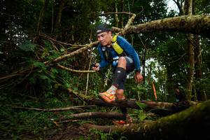 BIB: 
                            <button type="button" onclick="openModal(25028509)" class="btn btn-primary btn-sm float-right btn-popup" data-toggle="modal" data-target=".modal-high-quality">
                        <i class="fas fa-shopping-cart"></i> Add to Cart
                    </button>
                                            <button type="button" onclick="isThisMe(25028509, true)" class="btn btn-success btn-sm float-right btn-popup btn-isme hidden" data-toggle="tooltip" data-placement="bottom" title="นี่คือรูปของคุณใช่ไหม คลิกที่นี่เพื่อเอาเข้าอัลบั้ม">
                        <i class="fas fa-plus"></i> Add to album
                    </button>
                    <button type="button" onclick="isThisMe(25028509, false)" class="btn btn-warning btn-sm float-right btn-popup btn-isnotme hidden">
                        <i class="fas fa-ban"></i> Remove from album
                    </button>