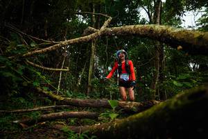 BIB: 2004
                            <button type="button" onclick="openModal(25036441)" class="btn btn-primary btn-sm float-right btn-popup" data-toggle="modal" data-target=".modal-high-quality">
                        <i class="fas fa-shopping-cart"></i> Add to Cart
                    </button>
                                            <button type="button" onclick="isThisMe(25036441, true)" class="btn btn-success btn-sm float-right btn-popup btn-isme hidden" data-toggle="tooltip" data-placement="bottom" title="นี่คือรูปของคุณใช่ไหม คลิกที่นี่เพื่อเอาเข้าอัลบั้ม">
                        <i class="fas fa-plus"></i> Add to album
                    </button>
                    <button type="button" onclick="isThisMe(25036441, false)" class="btn btn-warning btn-sm float-right btn-popup btn-isnotme hidden">
                        <i class="fas fa-ban"></i> Remove from album
                    </button>