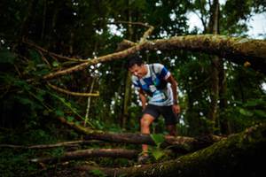 BIB: 
                            <button type="button" onclick="openModal(25036649)" class="btn btn-primary btn-sm float-right btn-popup" data-toggle="modal" data-target=".modal-high-quality">
                        <i class="fas fa-shopping-cart"></i> Add to Cart
                    </button>
                                            <button type="button" onclick="isThisMe(25036649, true)" class="btn btn-success btn-sm float-right btn-popup btn-isme hidden" data-toggle="tooltip" data-placement="bottom" title="นี่คือรูปของคุณใช่ไหม คลิกที่นี่เพื่อเอาเข้าอัลบั้ม">
                        <i class="fas fa-plus"></i> Add to album
                    </button>
                    <button type="button" onclick="isThisMe(25036649, false)" class="btn btn-warning btn-sm float-right btn-popup btn-isnotme hidden">
                        <i class="fas fa-ban"></i> Remove from album
                    </button>