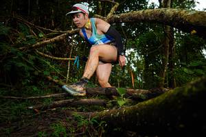 BIB: 
                            <button type="button" onclick="openModal(25036852)" class="btn btn-primary btn-sm float-right btn-popup" data-toggle="modal" data-target=".modal-high-quality">
                        <i class="fas fa-shopping-cart"></i> Add to Cart
                    </button>
                                            <button type="button" onclick="isThisMe(25036852, true)" class="btn btn-success btn-sm float-right btn-popup btn-isme hidden" data-toggle="tooltip" data-placement="bottom" title="นี่คือรูปของคุณใช่ไหม คลิกที่นี่เพื่อเอาเข้าอัลบั้ม">
                        <i class="fas fa-plus"></i> Add to album
                    </button>
                    <button type="button" onclick="isThisMe(25036852, false)" class="btn btn-warning btn-sm float-right btn-popup btn-isnotme hidden">
                        <i class="fas fa-ban"></i> Remove from album
                    </button>