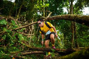 BIB: 093
                            <button type="button" onclick="openModal(25026603)" class="btn btn-primary btn-sm float-right btn-popup" data-toggle="modal" data-target=".modal-high-quality">
                        <i class="fas fa-shopping-cart"></i> Add to Cart
                    </button>
                                            <button type="button" onclick="isThisMe(25026603, true)" class="btn btn-success btn-sm float-right btn-popup btn-isme hidden" data-toggle="tooltip" data-placement="bottom" title="นี่คือรูปของคุณใช่ไหม คลิกที่นี่เพื่อเอาเข้าอัลบั้ม">
                        <i class="fas fa-plus"></i> Add to album
                    </button>
                    <button type="button" onclick="isThisMe(25026603, false)" class="btn btn-warning btn-sm float-right btn-popup btn-isnotme hidden">
                        <i class="fas fa-ban"></i> Remove from album
                    </button>