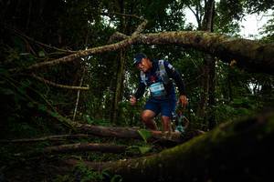 BIB: 
                            <button type="button" onclick="openModal(25032172)" class="btn btn-primary btn-sm float-right btn-popup" data-toggle="modal" data-target=".modal-high-quality">
                        <i class="fas fa-shopping-cart"></i> Add to Cart
                    </button>
                                            <button type="button" onclick="isThisMe(25032172, true)" class="btn btn-success btn-sm float-right btn-popup btn-isme hidden" data-toggle="tooltip" data-placement="bottom" title="นี่คือรูปของคุณใช่ไหม คลิกที่นี่เพื่อเอาเข้าอัลบั้ม">
                        <i class="fas fa-plus"></i> Add to album
                    </button>
                    <button type="button" onclick="isThisMe(25032172, false)" class="btn btn-warning btn-sm float-right btn-popup btn-isnotme hidden">
                        <i class="fas fa-ban"></i> Remove from album
                    </button>