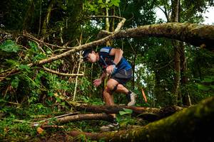 BIB: 
                            <button type="button" onclick="openModal(25025993)" class="btn btn-primary btn-sm float-right btn-popup" data-toggle="modal" data-target=".modal-high-quality">
                        <i class="fas fa-shopping-cart"></i> Add to Cart
                    </button>
                                            <button type="button" onclick="isThisMe(25025993, true)" class="btn btn-success btn-sm float-right btn-popup btn-isme hidden" data-toggle="tooltip" data-placement="bottom" title="นี่คือรูปของคุณใช่ไหม คลิกที่นี่เพื่อเอาเข้าอัลบั้ม">
                        <i class="fas fa-plus"></i> Add to album
                    </button>
                    <button type="button" onclick="isThisMe(25025993, false)" class="btn btn-warning btn-sm float-right btn-popup btn-isnotme hidden">
                        <i class="fas fa-ban"></i> Remove from album
                    </button>