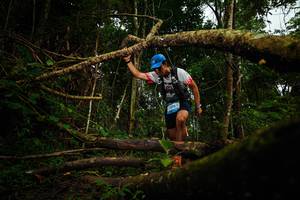 BIB: 
                            <button type="button" onclick="openModal(25035958)" class="btn btn-primary btn-sm float-right btn-popup" data-toggle="modal" data-target=".modal-high-quality">
                        <i class="fas fa-shopping-cart"></i> Add to Cart
                    </button>
                                            <button type="button" onclick="isThisMe(25035958, true)" class="btn btn-success btn-sm float-right btn-popup btn-isme hidden" data-toggle="tooltip" data-placement="bottom" title="นี่คือรูปของคุณใช่ไหม คลิกที่นี่เพื่อเอาเข้าอัลบั้ม">
                        <i class="fas fa-plus"></i> Add to album
                    </button>
                    <button type="button" onclick="isThisMe(25035958, false)" class="btn btn-warning btn-sm float-right btn-popup btn-isnotme hidden">
                        <i class="fas fa-ban"></i> Remove from album
                    </button>