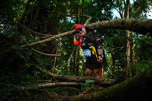 BIB: 20941
                            <button type="button" onclick="openModal(25023242)" class="btn btn-primary btn-sm float-right btn-popup" data-toggle="modal" data-target=".modal-high-quality">
                        <i class="fas fa-shopping-cart"></i> Add to Cart
                    </button>
                                            <button type="button" onclick="isThisMe(25023242, true)" class="btn btn-success btn-sm float-right btn-popup btn-isme hidden" data-toggle="tooltip" data-placement="bottom" title="นี่คือรูปของคุณใช่ไหม คลิกที่นี่เพื่อเอาเข้าอัลบั้ม">
                        <i class="fas fa-plus"></i> Add to album
                    </button>
                    <button type="button" onclick="isThisMe(25023242, false)" class="btn btn-warning btn-sm float-right btn-popup btn-isnotme hidden">
                        <i class="fas fa-ban"></i> Remove from album
                    </button>