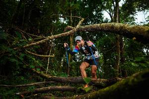 BIB: 2041
                            <button type="button" onclick="openModal(25036741)" class="btn btn-primary btn-sm float-right btn-popup" data-toggle="modal" data-target=".modal-high-quality">
                        <i class="fas fa-shopping-cart"></i> Add to Cart
                    </button>
                                            <button type="button" onclick="isThisMe(25036741, true)" class="btn btn-success btn-sm float-right btn-popup btn-isme hidden" data-toggle="tooltip" data-placement="bottom" title="นี่คือรูปของคุณใช่ไหม คลิกที่นี่เพื่อเอาเข้าอัลบั้ม">
                        <i class="fas fa-plus"></i> Add to album
                    </button>
                    <button type="button" onclick="isThisMe(25036741, false)" class="btn btn-warning btn-sm float-right btn-popup btn-isnotme hidden">
                        <i class="fas fa-ban"></i> Remove from album
                    </button>