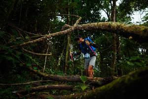 BIB: 
                            <button type="button" onclick="openModal(25036262)" class="btn btn-primary btn-sm float-right btn-popup" data-toggle="modal" data-target=".modal-high-quality">
                        <i class="fas fa-shopping-cart"></i> Add to Cart
                    </button>
                                            <button type="button" onclick="isThisMe(25036262, true)" class="btn btn-success btn-sm float-right btn-popup btn-isme hidden" data-toggle="tooltip" data-placement="bottom" title="นี่คือรูปของคุณใช่ไหม คลิกที่นี่เพื่อเอาเข้าอัลบั้ม">
                        <i class="fas fa-plus"></i> Add to album
                    </button>
                    <button type="button" onclick="isThisMe(25036262, false)" class="btn btn-warning btn-sm float-right btn-popup btn-isnotme hidden">
                        <i class="fas fa-ban"></i> Remove from album
                    </button>