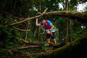 BIB: 
                            <button type="button" onclick="openModal(25025659)" class="btn btn-primary btn-sm float-right btn-popup" data-toggle="modal" data-target=".modal-high-quality">
                        <i class="fas fa-shopping-cart"></i> Add to Cart
                    </button>
                                            <button type="button" onclick="isThisMe(25025659, true)" class="btn btn-success btn-sm float-right btn-popup btn-isme hidden" data-toggle="tooltip" data-placement="bottom" title="นี่คือรูปของคุณใช่ไหม คลิกที่นี่เพื่อเอาเข้าอัลบั้ม">
                        <i class="fas fa-plus"></i> Add to album
                    </button>
                    <button type="button" onclick="isThisMe(25025659, false)" class="btn btn-warning btn-sm float-right btn-popup btn-isnotme hidden">
                        <i class="fas fa-ban"></i> Remove from album
                    </button>