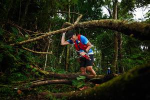 BIB: 
                            <button type="button" onclick="openModal(25025652)" class="btn btn-primary btn-sm float-right btn-popup" data-toggle="modal" data-target=".modal-high-quality">
                        <i class="fas fa-shopping-cart"></i> Add to Cart
                    </button>
                                            <button type="button" onclick="isThisMe(25025652, true)" class="btn btn-success btn-sm float-right btn-popup btn-isme hidden" data-toggle="tooltip" data-placement="bottom" title="นี่คือรูปของคุณใช่ไหม คลิกที่นี่เพื่อเอาเข้าอัลบั้ม">
                        <i class="fas fa-plus"></i> Add to album
                    </button>
                    <button type="button" onclick="isThisMe(25025652, false)" class="btn btn-warning btn-sm float-right btn-popup btn-isnotme hidden">
                        <i class="fas fa-ban"></i> Remove from album
                    </button>