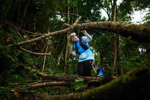 BIB: 
                            <button type="button" onclick="openModal(25025600)" class="btn btn-primary btn-sm float-right btn-popup" data-toggle="modal" data-target=".modal-high-quality">
                        <i class="fas fa-shopping-cart"></i> Add to Cart
                    </button>
                                            <button type="button" onclick="isThisMe(25025600, true)" class="btn btn-success btn-sm float-right btn-popup btn-isme hidden" data-toggle="tooltip" data-placement="bottom" title="นี่คือรูปของคุณใช่ไหม คลิกที่นี่เพื่อเอาเข้าอัลบั้ม">
                        <i class="fas fa-plus"></i> Add to album
                    </button>
                    <button type="button" onclick="isThisMe(25025600, false)" class="btn btn-warning btn-sm float-right btn-popup btn-isnotme hidden">
                        <i class="fas fa-ban"></i> Remove from album
                    </button>