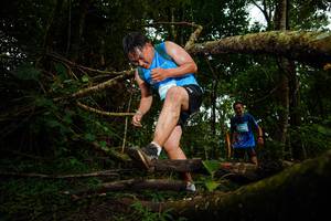 BIB: 
                            <button type="button" onclick="openModal(25034662)" class="btn btn-primary btn-sm float-right btn-popup" data-toggle="modal" data-target=".modal-high-quality">
                        <i class="fas fa-shopping-cart"></i> Add to Cart
                    </button>
                                            <button type="button" onclick="isThisMe(25034662, true)" class="btn btn-success btn-sm float-right btn-popup btn-isme hidden" data-toggle="tooltip" data-placement="bottom" title="นี่คือรูปของคุณใช่ไหม คลิกที่นี่เพื่อเอาเข้าอัลบั้ม">
                        <i class="fas fa-plus"></i> Add to album
                    </button>
                    <button type="button" onclick="isThisMe(25034662, false)" class="btn btn-warning btn-sm float-right btn-popup btn-isnotme hidden">
                        <i class="fas fa-ban"></i> Remove from album
                    </button>