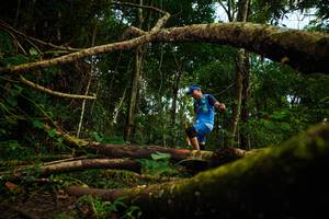 BIB: 
                            <button type="button" onclick="openModal(25024125)" class="btn btn-primary btn-sm float-right btn-popup" data-toggle="modal" data-target=".modal-high-quality">
                        <i class="fas fa-shopping-cart"></i> Add to Cart
                    </button>
                                            <button type="button" onclick="isThisMe(25024125, true)" class="btn btn-success btn-sm float-right btn-popup btn-isme hidden" data-toggle="tooltip" data-placement="bottom" title="นี่คือรูปของคุณใช่ไหม คลิกที่นี่เพื่อเอาเข้าอัลบั้ม">
                        <i class="fas fa-plus"></i> Add to album
                    </button>
                    <button type="button" onclick="isThisMe(25024125, false)" class="btn btn-warning btn-sm float-right btn-popup btn-isnotme hidden">
                        <i class="fas fa-ban"></i> Remove from album
                    </button>