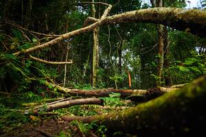 BIB: 
                            <button type="button" onclick="openModal(25024141)" class="btn btn-primary btn-sm float-right btn-popup" data-toggle="modal" data-target=".modal-high-quality">
                        <i class="fas fa-shopping-cart"></i> Add to Cart
                    </button>
                                            <button type="button" onclick="isThisMe(25024141, true)" class="btn btn-success btn-sm float-right btn-popup btn-isme hidden" data-toggle="tooltip" data-placement="bottom" title="นี่คือรูปของคุณใช่ไหม คลิกที่นี่เพื่อเอาเข้าอัลบั้ม">
                        <i class="fas fa-plus"></i> Add to album
                    </button>
                    <button type="button" onclick="isThisMe(25024141, false)" class="btn btn-warning btn-sm float-right btn-popup btn-isnotme hidden">
                        <i class="fas fa-ban"></i> Remove from album
                    </button>