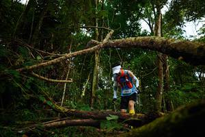 BIB: 2013
                            <button type="button" onclick="openModal(25025160)" class="btn btn-primary btn-sm float-right btn-popup" data-toggle="modal" data-target=".modal-high-quality">
                        <i class="fas fa-shopping-cart"></i> Add to Cart
                    </button>
                                            <button type="button" onclick="isThisMe(25025160, true)" class="btn btn-success btn-sm float-right btn-popup btn-isme hidden" data-toggle="tooltip" data-placement="bottom" title="นี่คือรูปของคุณใช่ไหม คลิกที่นี่เพื่อเอาเข้าอัลบั้ม">
                        <i class="fas fa-plus"></i> Add to album
                    </button>
                    <button type="button" onclick="isThisMe(25025160, false)" class="btn btn-warning btn-sm float-right btn-popup btn-isnotme hidden">
                        <i class="fas fa-ban"></i> Remove from album
                    </button>