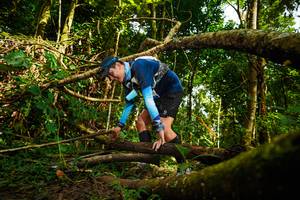 BIB: 
                            <button type="button" onclick="openModal(25027908)" class="btn btn-primary btn-sm float-right btn-popup" data-toggle="modal" data-target=".modal-high-quality">
                        <i class="fas fa-shopping-cart"></i> Add to Cart
                    </button>
                                            <button type="button" onclick="isThisMe(25027908, true)" class="btn btn-success btn-sm float-right btn-popup btn-isme hidden" data-toggle="tooltip" data-placement="bottom" title="นี่คือรูปของคุณใช่ไหม คลิกที่นี่เพื่อเอาเข้าอัลบั้ม">
                        <i class="fas fa-plus"></i> Add to album
                    </button>
                    <button type="button" onclick="isThisMe(25027908, false)" class="btn btn-warning btn-sm float-right btn-popup btn-isnotme hidden">
                        <i class="fas fa-ban"></i> Remove from album
                    </button>