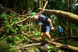 BIB: 
                            <button type="button" onclick="openModal(25024994)" class="btn btn-primary btn-sm float-right btn-popup" data-toggle="modal" data-target=".modal-high-quality">
                        <i class="fas fa-shopping-cart"></i> Add to Cart
                    </button>
                                            <button type="button" onclick="isThisMe(25024994, true)" class="btn btn-success btn-sm float-right btn-popup btn-isme hidden" data-toggle="tooltip" data-placement="bottom" title="นี่คือรูปของคุณใช่ไหม คลิกที่นี่เพื่อเอาเข้าอัลบั้ม">
                        <i class="fas fa-plus"></i> Add to album
                    </button>
                    <button type="button" onclick="isThisMe(25024994, false)" class="btn btn-warning btn-sm float-right btn-popup btn-isnotme hidden">
                        <i class="fas fa-ban"></i> Remove from album
                    </button>