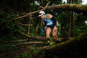 BIB: 2017
                            <button type="button" onclick="openModal(25036886)" class="btn btn-primary btn-sm float-right btn-popup" data-toggle="modal" data-target=".modal-high-quality">
                        <i class="fas fa-shopping-cart"></i> Add to Cart
                    </button>
                                            <button type="button" onclick="isThisMe(25036886, true)" class="btn btn-success btn-sm float-right btn-popup btn-isme hidden" data-toggle="tooltip" data-placement="bottom" title="นี่คือรูปของคุณใช่ไหม คลิกที่นี่เพื่อเอาเข้าอัลบั้ม">
                        <i class="fas fa-plus"></i> Add to album
                    </button>
                    <button type="button" onclick="isThisMe(25036886, false)" class="btn btn-warning btn-sm float-right btn-popup btn-isnotme hidden">
                        <i class="fas fa-ban"></i> Remove from album
                    </button>