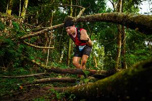 BIB: 213
                            <button type="button" onclick="openModal(25028228)" class="btn btn-primary btn-sm float-right btn-popup" data-toggle="modal" data-target=".modal-high-quality">
                        <i class="fas fa-shopping-cart"></i> Add to Cart
                    </button>
                                            <button type="button" onclick="isThisMe(25028228, true)" class="btn btn-success btn-sm float-right btn-popup btn-isme hidden" data-toggle="tooltip" data-placement="bottom" title="นี่คือรูปของคุณใช่ไหม คลิกที่นี่เพื่อเอาเข้าอัลบั้ม">
                        <i class="fas fa-plus"></i> Add to album
                    </button>
                    <button type="button" onclick="isThisMe(25028228, false)" class="btn btn-warning btn-sm float-right btn-popup btn-isnotme hidden">
                        <i class="fas fa-ban"></i> Remove from album
                    </button>