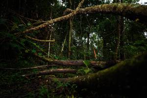 BIB: 
                            <button type="button" onclick="openModal(25037145)" class="btn btn-primary btn-sm float-right btn-popup" data-toggle="modal" data-target=".modal-high-quality">
                        <i class="fas fa-shopping-cart"></i> Add to Cart
                    </button>
                                            <button type="button" onclick="isThisMe(25037145, true)" class="btn btn-success btn-sm float-right btn-popup btn-isme hidden" data-toggle="tooltip" data-placement="bottom" title="นี่คือรูปของคุณใช่ไหม คลิกที่นี่เพื่อเอาเข้าอัลบั้ม">
                        <i class="fas fa-plus"></i> Add to album
                    </button>
                    <button type="button" onclick="isThisMe(25037145, false)" class="btn btn-warning btn-sm float-right btn-popup btn-isnotme hidden">
                        <i class="fas fa-ban"></i> Remove from album
                    </button>