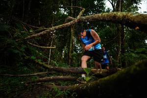 BIB: 
                            <button type="button" onclick="openModal(25034724)" class="btn btn-primary btn-sm float-right btn-popup" data-toggle="modal" data-target=".modal-high-quality">
                        <i class="fas fa-shopping-cart"></i> Add to Cart
                    </button>
                                            <button type="button" onclick="isThisMe(25034724, true)" class="btn btn-success btn-sm float-right btn-popup btn-isme hidden" data-toggle="tooltip" data-placement="bottom" title="นี่คือรูปของคุณใช่ไหม คลิกที่นี่เพื่อเอาเข้าอัลบั้ม">
                        <i class="fas fa-plus"></i> Add to album
                    </button>
                    <button type="button" onclick="isThisMe(25034724, false)" class="btn btn-warning btn-sm float-right btn-popup btn-isnotme hidden">
                        <i class="fas fa-ban"></i> Remove from album
                    </button>