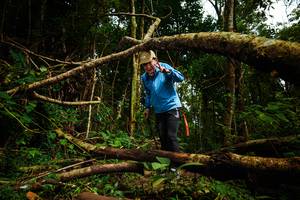 BIB: 
                            <button type="button" onclick="openModal(25024979)" class="btn btn-primary btn-sm float-right btn-popup" data-toggle="modal" data-target=".modal-high-quality">
                        <i class="fas fa-shopping-cart"></i> Add to Cart
                    </button>
                                            <button type="button" onclick="isThisMe(25024979, true)" class="btn btn-success btn-sm float-right btn-popup btn-isme hidden" data-toggle="tooltip" data-placement="bottom" title="นี่คือรูปของคุณใช่ไหม คลิกที่นี่เพื่อเอาเข้าอัลบั้ม">
                        <i class="fas fa-plus"></i> Add to album
                    </button>
                    <button type="button" onclick="isThisMe(25024979, false)" class="btn btn-warning btn-sm float-right btn-popup btn-isnotme hidden">
                        <i class="fas fa-ban"></i> Remove from album
                    </button>