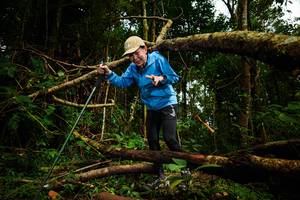 BIB: 
                            <button type="button" onclick="openModal(25024956)" class="btn btn-primary btn-sm float-right btn-popup" data-toggle="modal" data-target=".modal-high-quality">
                        <i class="fas fa-shopping-cart"></i> Add to Cart
                    </button>
                                            <button type="button" onclick="isThisMe(25024956, true)" class="btn btn-success btn-sm float-right btn-popup btn-isme hidden" data-toggle="tooltip" data-placement="bottom" title="นี่คือรูปของคุณใช่ไหม คลิกที่นี่เพื่อเอาเข้าอัลบั้ม">
                        <i class="fas fa-plus"></i> Add to album
                    </button>
                    <button type="button" onclick="isThisMe(25024956, false)" class="btn btn-warning btn-sm float-right btn-popup btn-isnotme hidden">
                        <i class="fas fa-ban"></i> Remove from album
                    </button>