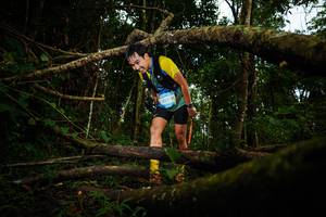 BIB: 
                            <button type="button" onclick="openModal(25037538)" class="btn btn-primary btn-sm float-right btn-popup" data-toggle="modal" data-target=".modal-high-quality">
                        <i class="fas fa-shopping-cart"></i> Add to Cart
                    </button>
                                            <button type="button" onclick="isThisMe(25037538, true)" class="btn btn-success btn-sm float-right btn-popup btn-isme hidden" data-toggle="tooltip" data-placement="bottom" title="นี่คือรูปของคุณใช่ไหม คลิกที่นี่เพื่อเอาเข้าอัลบั้ม">
                        <i class="fas fa-plus"></i> Add to album
                    </button>
                    <button type="button" onclick="isThisMe(25037538, false)" class="btn btn-warning btn-sm float-right btn-popup btn-isnotme hidden">
                        <i class="fas fa-ban"></i> Remove from album
                    </button>