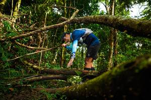 BIB: 
                            <button type="button" onclick="openModal(25027937)" class="btn btn-primary btn-sm float-right btn-popup" data-toggle="modal" data-target=".modal-high-quality">
                        <i class="fas fa-shopping-cart"></i> Add to Cart
                    </button>
                                            <button type="button" onclick="isThisMe(25027937, true)" class="btn btn-success btn-sm float-right btn-popup btn-isme hidden" data-toggle="tooltip" data-placement="bottom" title="นี่คือรูปของคุณใช่ไหม คลิกที่นี่เพื่อเอาเข้าอัลบั้ม">
                        <i class="fas fa-plus"></i> Add to album
                    </button>
                    <button type="button" onclick="isThisMe(25027937, false)" class="btn btn-warning btn-sm float-right btn-popup btn-isnotme hidden">
                        <i class="fas fa-ban"></i> Remove from album
                    </button>