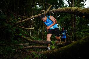 BIB: 
                            <button type="button" onclick="openModal(25034690)" class="btn btn-primary btn-sm float-right btn-popup" data-toggle="modal" data-target=".modal-high-quality">
                        <i class="fas fa-shopping-cart"></i> Add to Cart
                    </button>
                                            <button type="button" onclick="isThisMe(25034690, true)" class="btn btn-success btn-sm float-right btn-popup btn-isme hidden" data-toggle="tooltip" data-placement="bottom" title="นี่คือรูปของคุณใช่ไหม คลิกที่นี่เพื่อเอาเข้าอัลบั้ม">
                        <i class="fas fa-plus"></i> Add to album
                    </button>
                    <button type="button" onclick="isThisMe(25034690, false)" class="btn btn-warning btn-sm float-right btn-popup btn-isnotme hidden">
                        <i class="fas fa-ban"></i> Remove from album
                    </button>