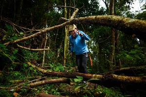 BIB: 
                            <button type="button" onclick="openModal(25024988)" class="btn btn-primary btn-sm float-right btn-popup" data-toggle="modal" data-target=".modal-high-quality">
                        <i class="fas fa-shopping-cart"></i> Add to Cart
                    </button>
                                            <button type="button" onclick="isThisMe(25024988, true)" class="btn btn-success btn-sm float-right btn-popup btn-isme hidden" data-toggle="tooltip" data-placement="bottom" title="นี่คือรูปของคุณใช่ไหม คลิกที่นี่เพื่อเอาเข้าอัลบั้ม">
                        <i class="fas fa-plus"></i> Add to album
                    </button>
                    <button type="button" onclick="isThisMe(25024988, false)" class="btn btn-warning btn-sm float-right btn-popup btn-isnotme hidden">
                        <i class="fas fa-ban"></i> Remove from album
                    </button>