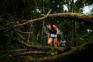 BIB: 2061
                            <button type="button" onclick="openModal(25036602)" class="btn btn-primary btn-sm float-right btn-popup" data-toggle="modal" data-target=".modal-high-quality">
                        <i class="fas fa-shopping-cart"></i> Add to Cart
                    </button>
                                            <button type="button" onclick="isThisMe(25036602, true)" class="btn btn-success btn-sm float-right btn-popup btn-isme hidden" data-toggle="tooltip" data-placement="bottom" title="นี่คือรูปของคุณใช่ไหม คลิกที่นี่เพื่อเอาเข้าอัลบั้ม">
                        <i class="fas fa-plus"></i> Add to album
                    </button>
                    <button type="button" onclick="isThisMe(25036602, false)" class="btn btn-warning btn-sm float-right btn-popup btn-isnotme hidden">
                        <i class="fas fa-ban"></i> Remove from album
                    </button>