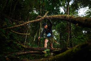 BIB: 2003
                            <button type="button" onclick="openModal(25025792)" class="btn btn-primary btn-sm float-right btn-popup" data-toggle="modal" data-target=".modal-high-quality">
                        <i class="fas fa-shopping-cart"></i> Add to Cart
                    </button>
                                            <button type="button" onclick="isThisMe(25025792, true)" class="btn btn-success btn-sm float-right btn-popup btn-isme hidden" data-toggle="tooltip" data-placement="bottom" title="นี่คือรูปของคุณใช่ไหม คลิกที่นี่เพื่อเอาเข้าอัลบั้ม">
                        <i class="fas fa-plus"></i> Add to album
                    </button>
                    <button type="button" onclick="isThisMe(25025792, false)" class="btn btn-warning btn-sm float-right btn-popup btn-isnotme hidden">
                        <i class="fas fa-ban"></i> Remove from album
                    </button>