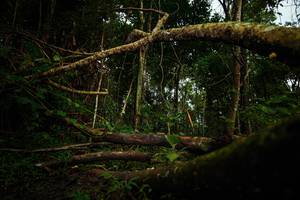 BIB: 
                            <button type="button" onclick="openModal(25035962)" class="btn btn-primary btn-sm float-right btn-popup" data-toggle="modal" data-target=".modal-high-quality">
                        <i class="fas fa-shopping-cart"></i> Add to Cart
                    </button>
                                            <button type="button" onclick="isThisMe(25035962, true)" class="btn btn-success btn-sm float-right btn-popup btn-isme hidden" data-toggle="tooltip" data-placement="bottom" title="นี่คือรูปของคุณใช่ไหม คลิกที่นี่เพื่อเอาเข้าอัลบั้ม">
                        <i class="fas fa-plus"></i> Add to album
                    </button>
                    <button type="button" onclick="isThisMe(25035962, false)" class="btn btn-warning btn-sm float-right btn-popup btn-isnotme hidden">
                        <i class="fas fa-ban"></i> Remove from album
                    </button>