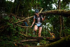 BIB: 
                            <button type="button" onclick="openModal(25026995)" class="btn btn-primary btn-sm float-right btn-popup" data-toggle="modal" data-target=".modal-high-quality">
                        <i class="fas fa-shopping-cart"></i> Add to Cart
                    </button>
                                            <button type="button" onclick="isThisMe(25026995, true)" class="btn btn-success btn-sm float-right btn-popup btn-isme hidden" data-toggle="tooltip" data-placement="bottom" title="นี่คือรูปของคุณใช่ไหม คลิกที่นี่เพื่อเอาเข้าอัลบั้ม">
                        <i class="fas fa-plus"></i> Add to album
                    </button>
                    <button type="button" onclick="isThisMe(25026995, false)" class="btn btn-warning btn-sm float-right btn-popup btn-isnotme hidden">
                        <i class="fas fa-ban"></i> Remove from album
                    </button>