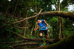 BIB: 
                            <button type="button" onclick="openModal(25035596)" class="btn btn-primary btn-sm float-right btn-popup" data-toggle="modal" data-target=".modal-high-quality">
                        <i class="fas fa-shopping-cart"></i> Add to Cart
                    </button>
                                            <button type="button" onclick="isThisMe(25035596, true)" class="btn btn-success btn-sm float-right btn-popup btn-isme hidden" data-toggle="tooltip" data-placement="bottom" title="นี่คือรูปของคุณใช่ไหม คลิกที่นี่เพื่อเอาเข้าอัลบั้ม">
                        <i class="fas fa-plus"></i> Add to album
                    </button>
                    <button type="button" onclick="isThisMe(25035596, false)" class="btn btn-warning btn-sm float-right btn-popup btn-isnotme hidden">
                        <i class="fas fa-ban"></i> Remove from album
                    </button>