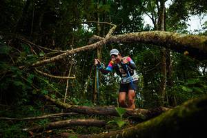 BIB: 204
                            <button type="button" onclick="openModal(25036746)" class="btn btn-primary btn-sm float-right btn-popup" data-toggle="modal" data-target=".modal-high-quality">
                        <i class="fas fa-shopping-cart"></i> Add to Cart
                    </button>
                                            <button type="button" onclick="isThisMe(25036746, true)" class="btn btn-success btn-sm float-right btn-popup btn-isme hidden" data-toggle="tooltip" data-placement="bottom" title="นี่คือรูปของคุณใช่ไหม คลิกที่นี่เพื่อเอาเข้าอัลบั้ม">
                        <i class="fas fa-plus"></i> Add to album
                    </button>
                    <button type="button" onclick="isThisMe(25036746, false)" class="btn btn-warning btn-sm float-right btn-popup btn-isnotme hidden">
                        <i class="fas fa-ban"></i> Remove from album
                    </button>