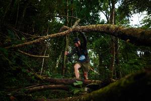 BIB: 
                            <button type="button" onclick="openModal(25025796)" class="btn btn-primary btn-sm float-right btn-popup" data-toggle="modal" data-target=".modal-high-quality">
                        <i class="fas fa-shopping-cart"></i> Add to Cart
                    </button>
                                            <button type="button" onclick="isThisMe(25025796, true)" class="btn btn-success btn-sm float-right btn-popup btn-isme hidden" data-toggle="tooltip" data-placement="bottom" title="นี่คือรูปของคุณใช่ไหม คลิกที่นี่เพื่อเอาเข้าอัลบั้ม">
                        <i class="fas fa-plus"></i> Add to album
                    </button>
                    <button type="button" onclick="isThisMe(25025796, false)" class="btn btn-warning btn-sm float-right btn-popup btn-isnotme hidden">
                        <i class="fas fa-ban"></i> Remove from album
                    </button>