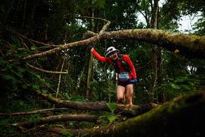 BIB: 036
                            <button type="button" onclick="openModal(25036432)" class="btn btn-primary btn-sm float-right btn-popup" data-toggle="modal" data-target=".modal-high-quality">
                        <i class="fas fa-shopping-cart"></i> Add to Cart
                    </button>
                                            <button type="button" onclick="isThisMe(25036432, true)" class="btn btn-success btn-sm float-right btn-popup btn-isme hidden" data-toggle="tooltip" data-placement="bottom" title="นี่คือรูปของคุณใช่ไหม คลิกที่นี่เพื่อเอาเข้าอัลบั้ม">
                        <i class="fas fa-plus"></i> Add to album
                    </button>
                    <button type="button" onclick="isThisMe(25036432, false)" class="btn btn-warning btn-sm float-right btn-popup btn-isnotme hidden">
                        <i class="fas fa-ban"></i> Remove from album
                    </button>