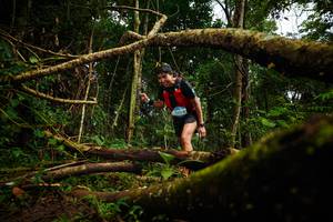 BIB: 190
                            <button type="button" onclick="openModal(25027199)" class="btn btn-primary btn-sm float-right btn-popup" data-toggle="modal" data-target=".modal-high-quality">
                        <i class="fas fa-shopping-cart"></i> Add to Cart
                    </button>
                                            <button type="button" onclick="isThisMe(25027199, true)" class="btn btn-success btn-sm float-right btn-popup btn-isme hidden" data-toggle="tooltip" data-placement="bottom" title="นี่คือรูปของคุณใช่ไหม คลิกที่นี่เพื่อเอาเข้าอัลบั้ม">
                        <i class="fas fa-plus"></i> Add to album
                    </button>
                    <button type="button" onclick="isThisMe(25027199, false)" class="btn btn-warning btn-sm float-right btn-popup btn-isnotme hidden">
                        <i class="fas fa-ban"></i> Remove from album
                    </button>