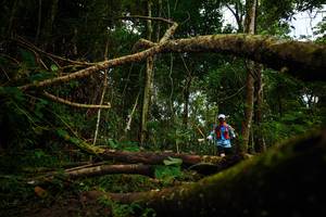 BIB: 
                            <button type="button" onclick="openModal(25025175)" class="btn btn-primary btn-sm float-right btn-popup" data-toggle="modal" data-target=".modal-high-quality">
                        <i class="fas fa-shopping-cart"></i> Add to Cart
                    </button>
                                            <button type="button" onclick="isThisMe(25025175, true)" class="btn btn-success btn-sm float-right btn-popup btn-isme hidden" data-toggle="tooltip" data-placement="bottom" title="นี่คือรูปของคุณใช่ไหม คลิกที่นี่เพื่อเอาเข้าอัลบั้ม">
                        <i class="fas fa-plus"></i> Add to album
                    </button>
                    <button type="button" onclick="isThisMe(25025175, false)" class="btn btn-warning btn-sm float-right btn-popup btn-isnotme hidden">
                        <i class="fas fa-ban"></i> Remove from album
                    </button>