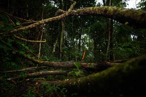 BIB: 
                            <button type="button" onclick="openModal(25037530)" class="btn btn-primary btn-sm float-right btn-popup" data-toggle="modal" data-target=".modal-high-quality">
                        <i class="fas fa-shopping-cart"></i> Add to Cart
                    </button>
                                            <button type="button" onclick="isThisMe(25037530, true)" class="btn btn-success btn-sm float-right btn-popup btn-isme hidden" data-toggle="tooltip" data-placement="bottom" title="นี่คือรูปของคุณใช่ไหม คลิกที่นี่เพื่อเอาเข้าอัลบั้ม">
                        <i class="fas fa-plus"></i> Add to album
                    </button>
                    <button type="button" onclick="isThisMe(25037530, false)" class="btn btn-warning btn-sm float-right btn-popup btn-isnotme hidden">
                        <i class="fas fa-ban"></i> Remove from album
                    </button>