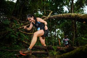 BIB: 
                            <button type="button" onclick="openModal(25036551)" class="btn btn-primary btn-sm float-right btn-popup" data-toggle="modal" data-target=".modal-high-quality">
                        <i class="fas fa-shopping-cart"></i> Add to Cart
                    </button>
                                            <button type="button" onclick="isThisMe(25036551, true)" class="btn btn-success btn-sm float-right btn-popup btn-isme hidden" data-toggle="tooltip" data-placement="bottom" title="นี่คือรูปของคุณใช่ไหม คลิกที่นี่เพื่อเอาเข้าอัลบั้ม">
                        <i class="fas fa-plus"></i> Add to album
                    </button>
                    <button type="button" onclick="isThisMe(25036551, false)" class="btn btn-warning btn-sm float-right btn-popup btn-isnotme hidden">
                        <i class="fas fa-ban"></i> Remove from album
                    </button>