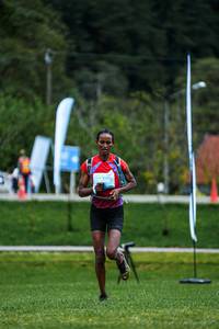 BIB: 
                            <button type="button" onclick="openModal(24998225)" class="btn btn-primary btn-sm float-right btn-popup" data-toggle="modal" data-target=".modal-high-quality">
                        <i class="fas fa-shopping-cart"></i> Add to Cart
                    </button>
                                            <button type="button" onclick="isThisMe(24998225, true)" class="btn btn-success btn-sm float-right btn-popup btn-isme hidden" data-toggle="tooltip" data-placement="bottom" title="นี่คือรูปของคุณใช่ไหม คลิกที่นี่เพื่อเอาเข้าอัลบั้ม">
                        <i class="fas fa-plus"></i> Add to album
                    </button>
                    <button type="button" onclick="isThisMe(24998225, false)" class="btn btn-warning btn-sm float-right btn-popup btn-isnotme hidden">
                        <i class="fas fa-ban"></i> Remove from album
                    </button>