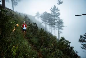 BIB: 
                            <button type="button" onclick="openModal(25017052)" class="btn btn-primary btn-sm float-right btn-popup" data-toggle="modal" data-target=".modal-high-quality">
                        <i class="fas fa-shopping-cart"></i> Add to Cart
                    </button>
                                            <button type="button" onclick="isThisMe(25017052, true)" class="btn btn-success btn-sm float-right btn-popup btn-isme hidden" data-toggle="tooltip" data-placement="bottom" title="นี่คือรูปของคุณใช่ไหม คลิกที่นี่เพื่อเอาเข้าอัลบั้ม">
                        <i class="fas fa-plus"></i> Add to album
                    </button>
                    <button type="button" onclick="isThisMe(25017052, false)" class="btn btn-warning btn-sm float-right btn-popup btn-isnotme hidden">
                        <i class="fas fa-ban"></i> Remove from album
                    </button>